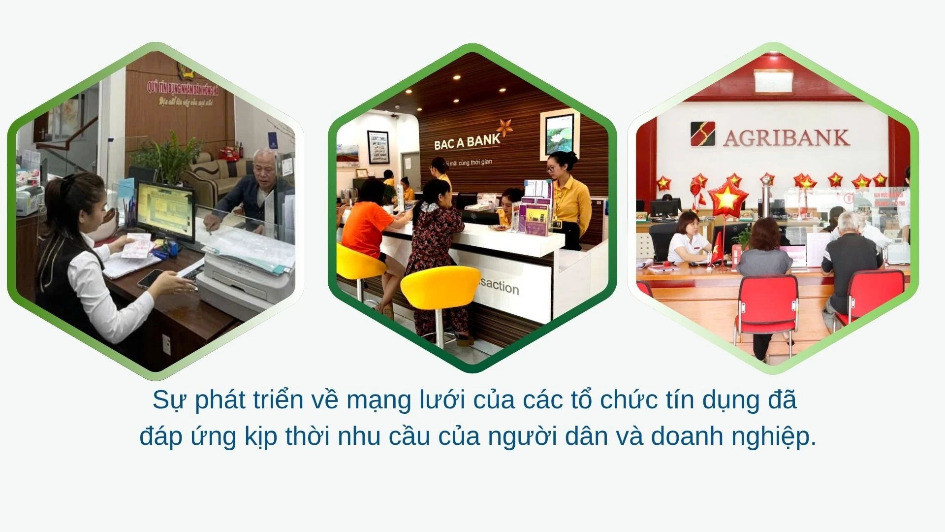 pembentangan-inovasi-pertanian-hidroponik-hijau-moden-2026-04-17t132431904.jpg