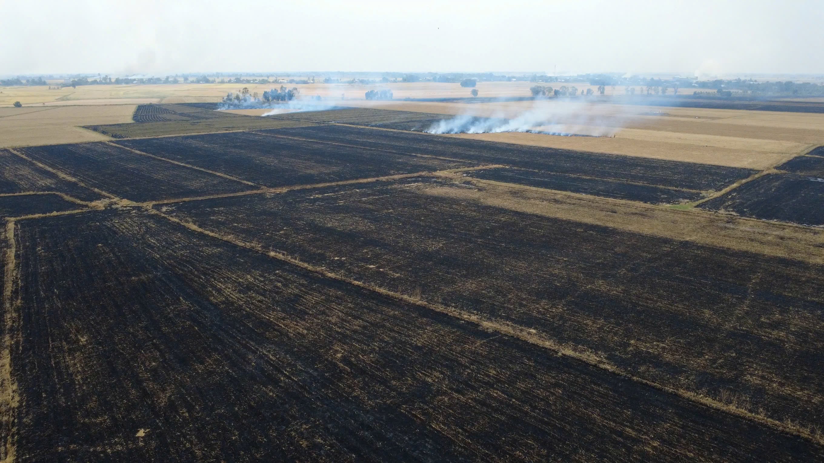 Burning rice straw after harvest can easily lead to wildfires.