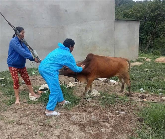 Didascalia della foto