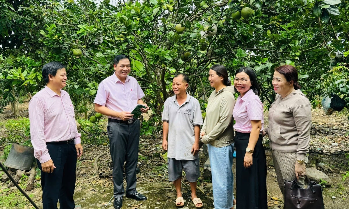 Il credito derivante dalle politiche di sostegno sta diventando un elemento fondamentale per la riduzione sostenibile della povertà a Khanh Hoa.