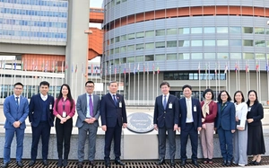 Việt Nam - IAEA thúc đẩy hợp tác kỹ thuật điện hạt nhân  - Ảnh 7.