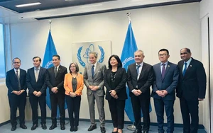 Việt Nam - IAEA thúc đẩy hợp tác kỹ thuật điện hạt nhân  - Ảnh 8.