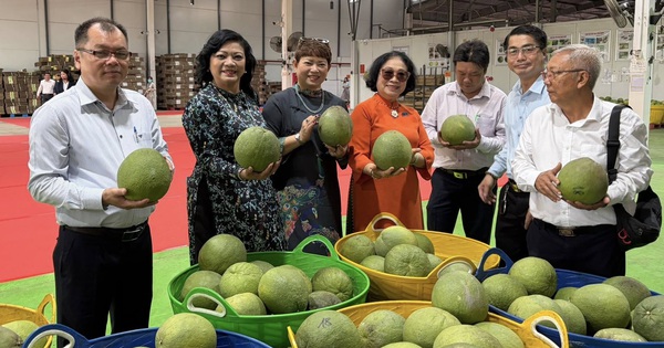 De Vietnamese pomelo staat op het punt een miljardenfruit te worden, maar moet de fouten van de duri