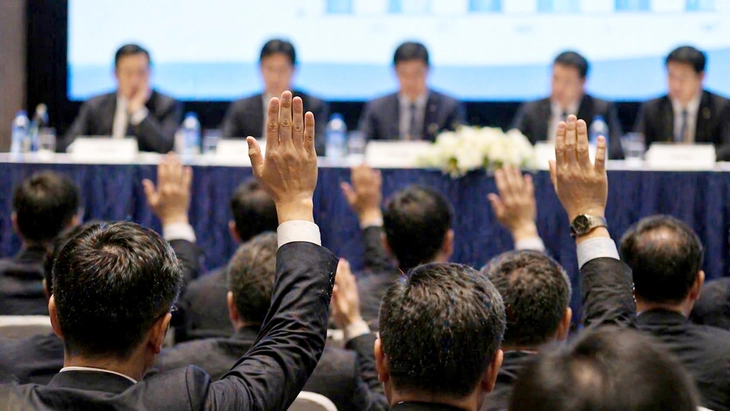 Doanh nghiệp 'hứa lèo' với cổ đông - Ảnh 1.