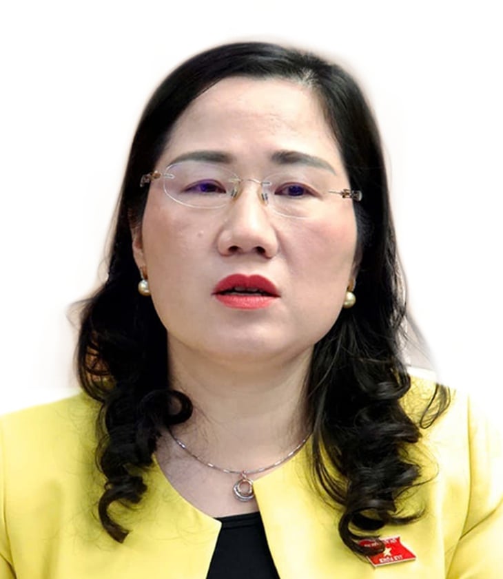 Đồng Nai lên thành phố: kỳ vọng đột phá - Ảnh 3.