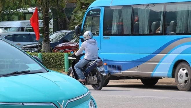 Dẹp nạn 'cò vạc' trước cửa ngõ di sản Phong Nha- Ảnh 1.