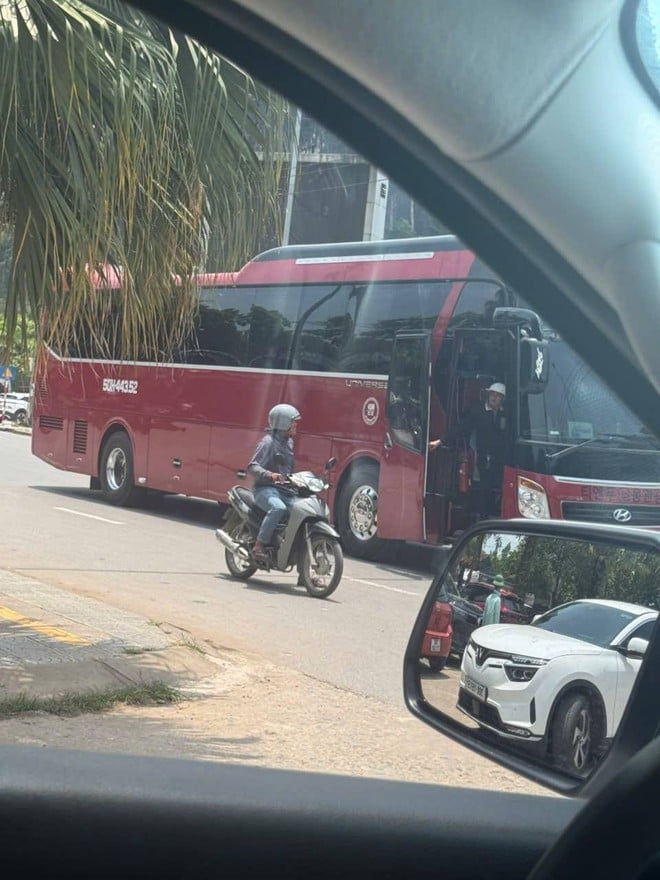 Dẹp nạn 'cò vạc' trước cửa ngõ di sản Phong Nha- Ảnh 3.
