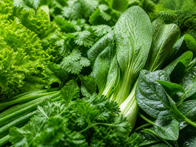 Vì sao người ăn nhiều rau lại sống thọ hơn? - Ảnh 1.