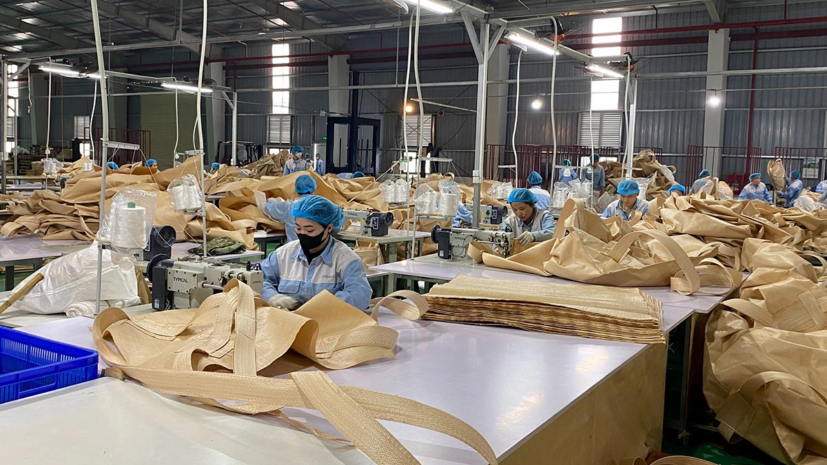 Výroba exportních obalů ve společnosti HITARP Vietnam, průmyslový klastr Phuc Ung, obec Son Duong.