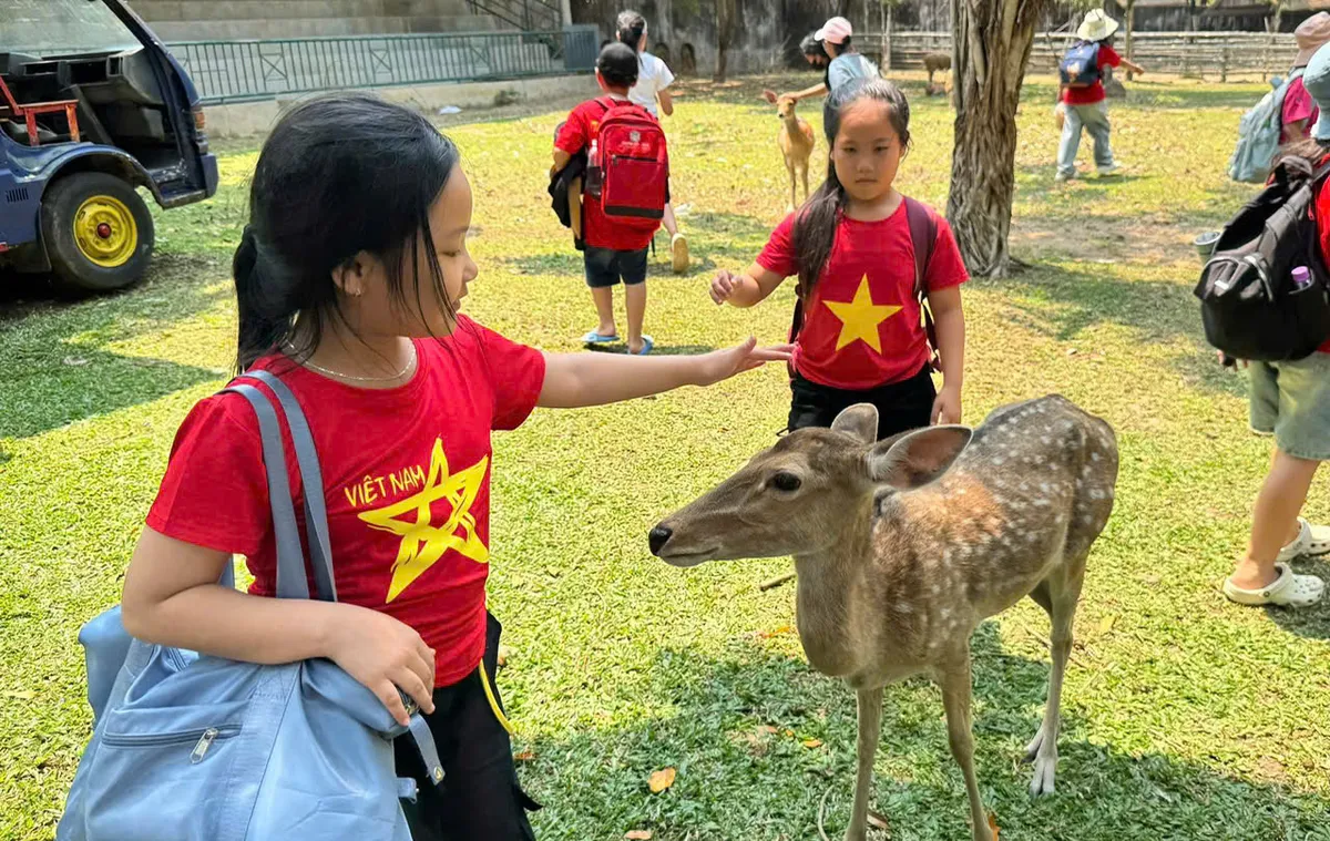 Khanh Hoa : Chiffres impressionnants de la période des fêtes - Photo 1. Khánh Hòa: Những con số ấn tượng của kỳ nghỉ lễ- Ảnh 1.