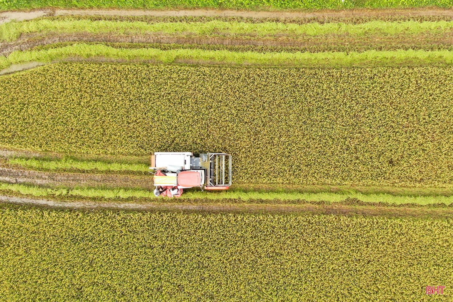 bqbht_br_dji-0619.jpg