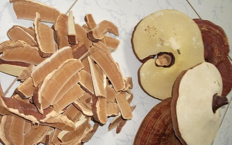 Měli byste v létě pít čaj z houby reishi denně? - Obrázek 3. Cách dùng nấm hương, nấm linh chi giảm cholesterol máu