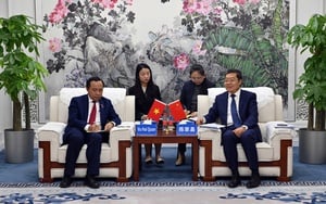 Le Vietnam crée 10 groupes technologiques stratégiques - Photo 6. Việt Nam xác lập 10 nhóm công nghệ chiến lược- Ảnh 6.