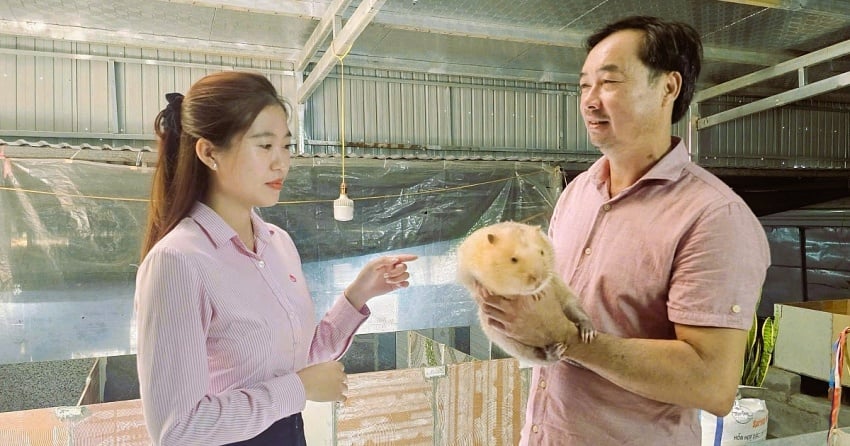 nuôi dúi của anh Đặng Bá Nghĩa (phải) hiện được xem là một trong những mô hình quy mô lớn ở địa phương.