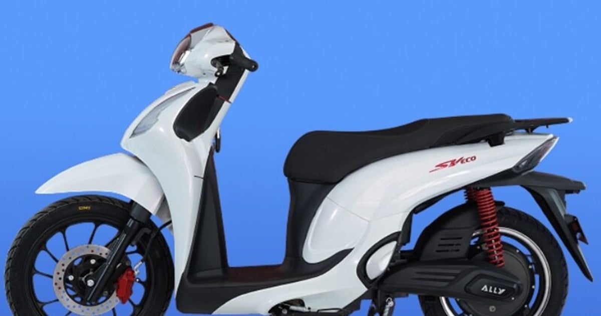 Selex Ally SV Eco A 3000W Electric Motorcycle With Flexible Battery selex-ally-sv-eco-a-3000w-electric-motorcycle-with-flexible-battery