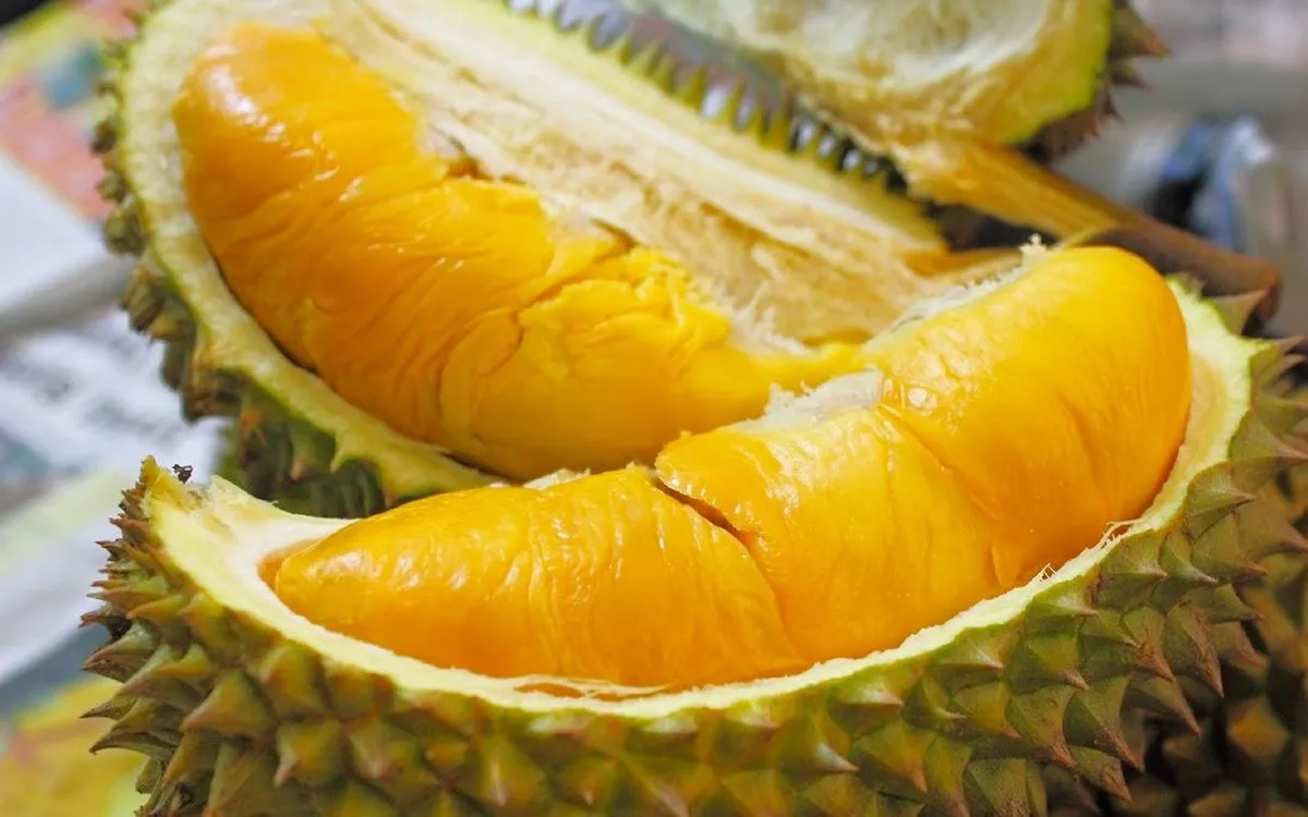 Thajsko zpřísňuje kontrolu kvality vyváženého durianu. Thái Lan siết chặt kiểm soát chất lượng sầu riêng xuất khẩu