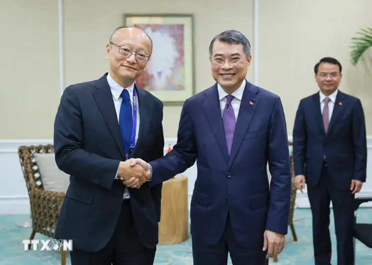 بانک توسعه آسیایی همچنان شریک قابل اعتماد ویتنام است - عکس 1. ADB tiếp tục là đối tác tin cậy của Việt Nam- Ảnh 1.