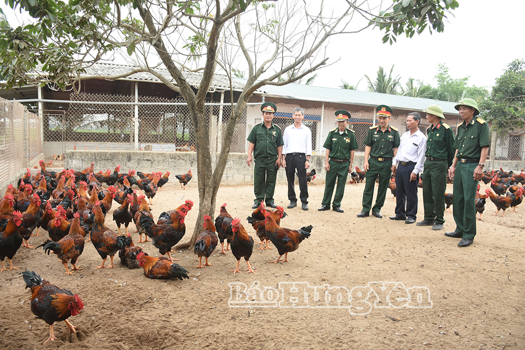 Trang trại chăn nuôi tổng hợp của CCB Trịnh Công Thu, thôn An Lạc 1, xã Quỳnh An.