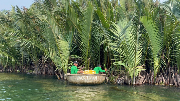 rừng dừa Cẩm Thanh - Ảnh 2.