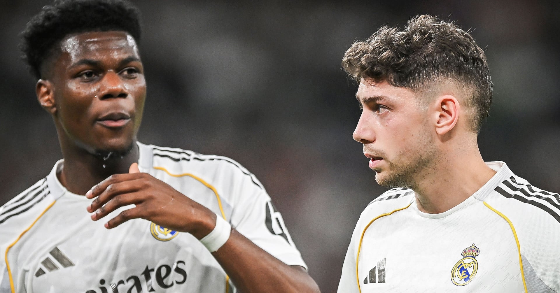 バルベルデ Real Madrid オーセンティック JapanM 未着用タグ付 バルベルデ Real Madrid オーセンティック JapanM 未着用タグ付