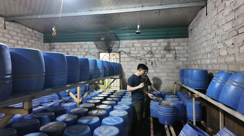 Không gian bên trong xưởng sản xuất giá đỗ tại phường Mạo Khê. Ảnh Quốc Xã (Công an tỉnh Quảng Ninh)