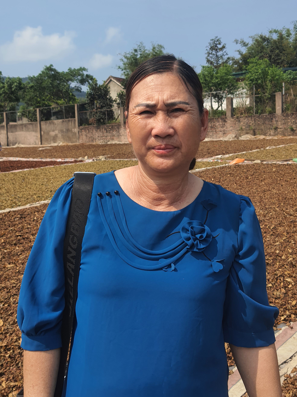 Chị Hoàng Thị Phượng, Giám đốc HTX quế hồi Chu Phượng (thôn Pắc Pộc, xã Hoành Mô).