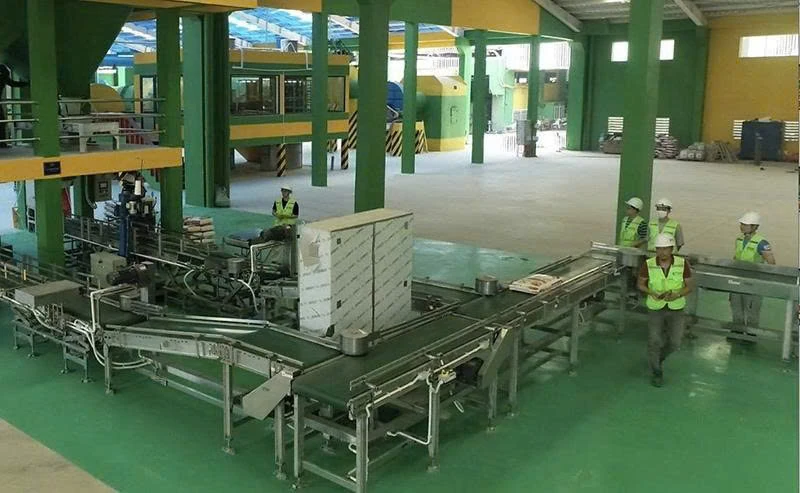 Doanh nghiệp kỳ vọng tăng trưởng mới