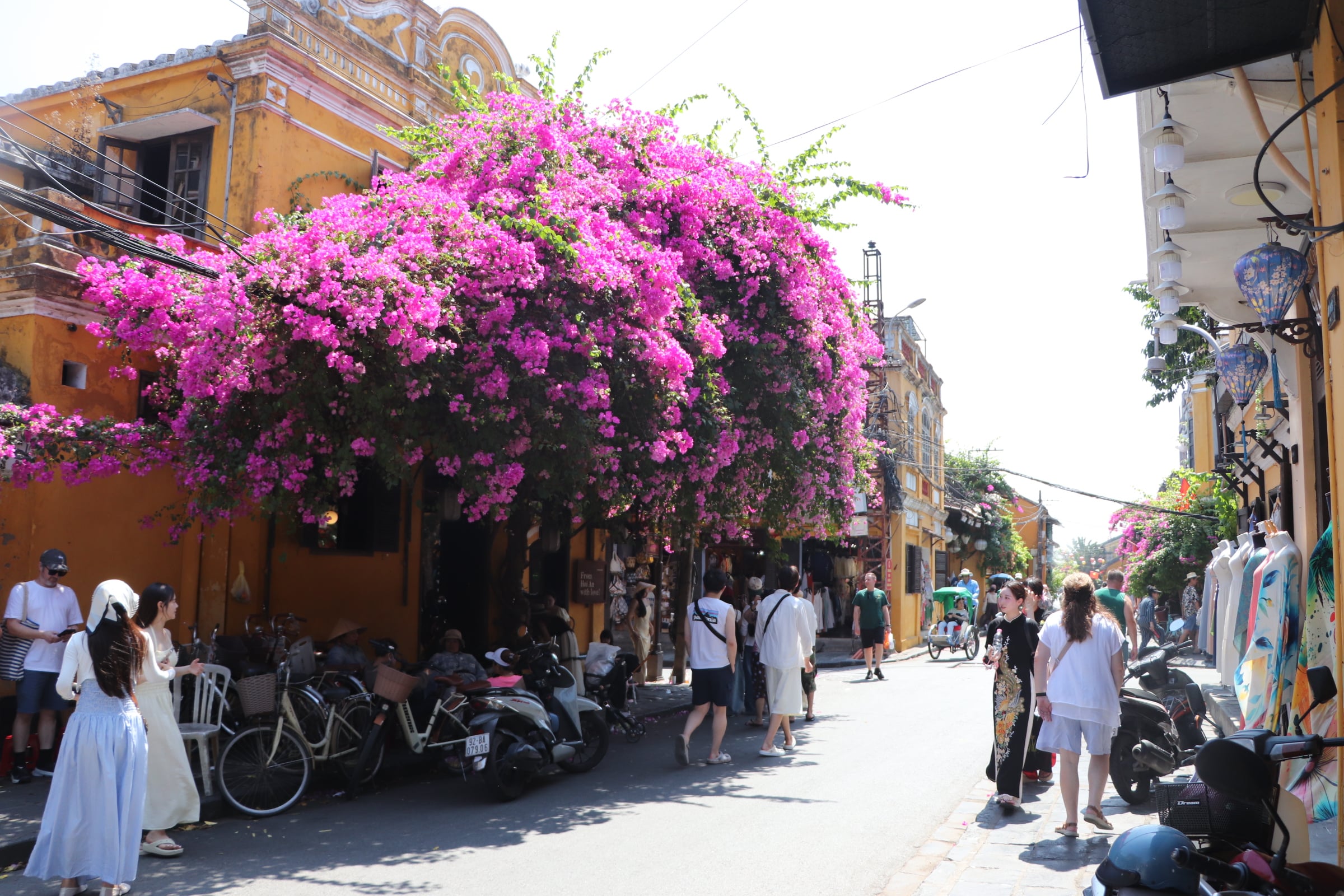 Orang muda berpusu-pusu ke pekan purba Hoi An untuk melihat-lihat semasa musim bunga bougainvillea - Foto 16.