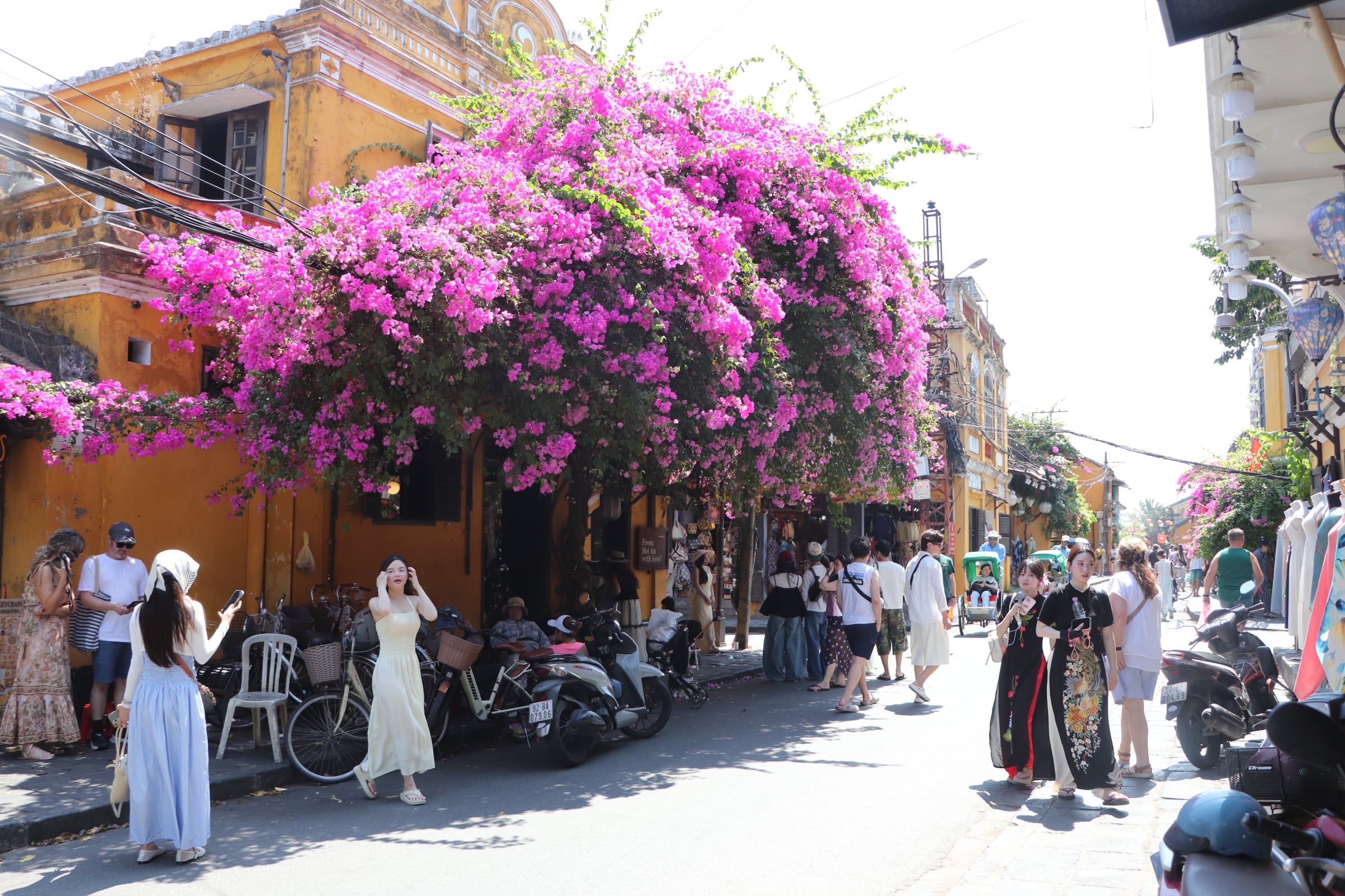 Orang muda berpusu-pusu ke pekan purba Hoi An untuk melihat-lihat semasa musim bunga bougainvillea - Foto 17.