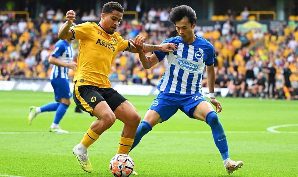 Présentation du match : Brighton contre Wolves, 21h00, le 9 mai : Victoire facile (3 points) - image 2