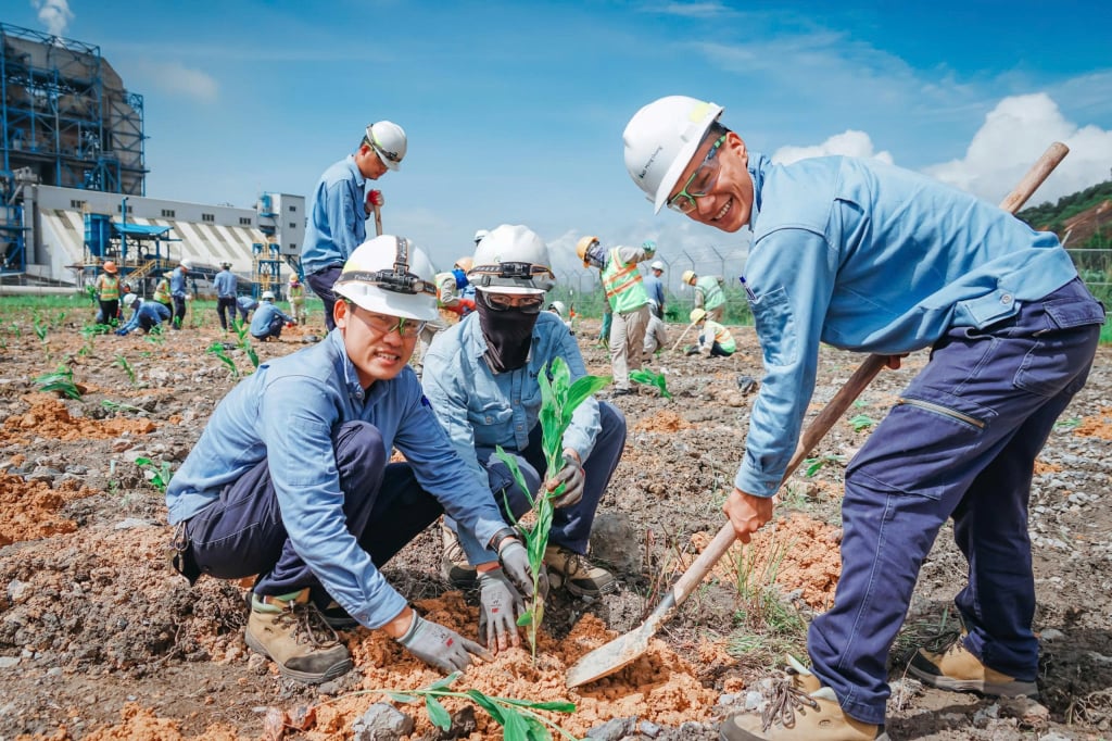 Les employés de la centrale thermique BOT Mong Duong 2 plantent des arbres pour contribuer à la protection de l'environnement.