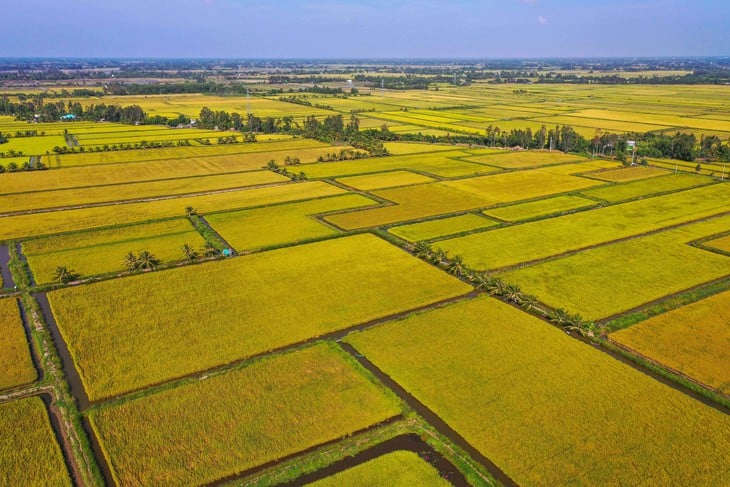 Nông nghiệp Việt Nam trước ngã rẽ mới - Ảnh 1.