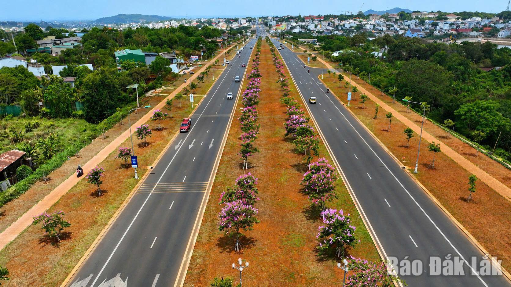 ダクラク省西部では、多くの道路で日陰を作るためにサルスベリが植えられており、今シーズンは満開でとても美しい。写真は、ブオンマートート区の中心部とブオンマートート空港を結ぶヴォー・グエン・ザップ大通り。