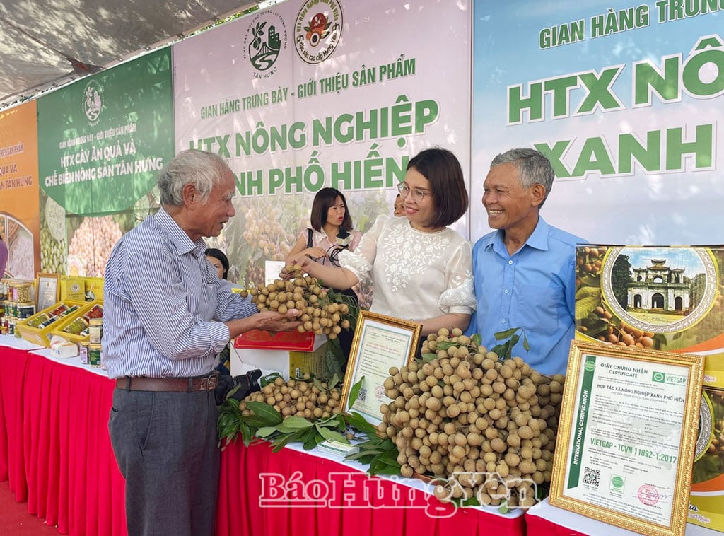  Sản phẩm nhãn lồng Hưng Yên được giới thiệu, quảng bá tại hội nghị xúc tiến thương mại tiêu thụ nhãn.