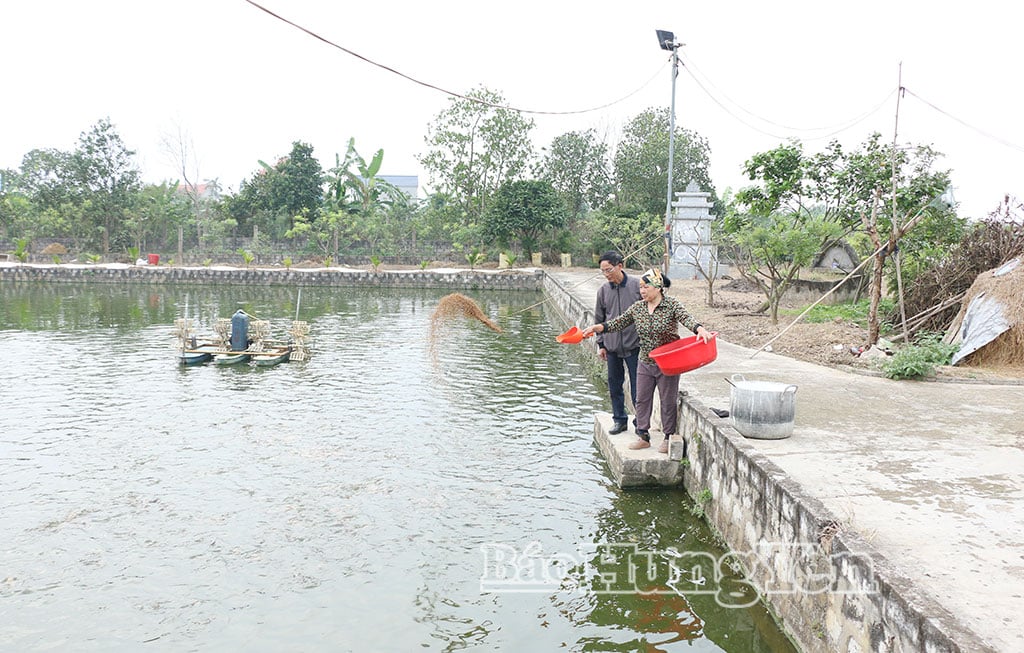 Farma paní Le Thi Thuy, vesnice Dong Binh Cach, obec Bac Dong Hung.