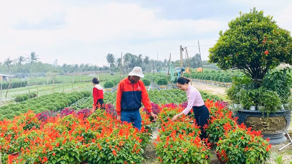 can-bo-tin-dung-nhcsxh-hoai-nhon-luon-bam-sat-co-so-tan-tinh-huong-dan-khach-hang-su-dung-von-vay-dung-muc-dich-dat-hieu-qua-721.jpg