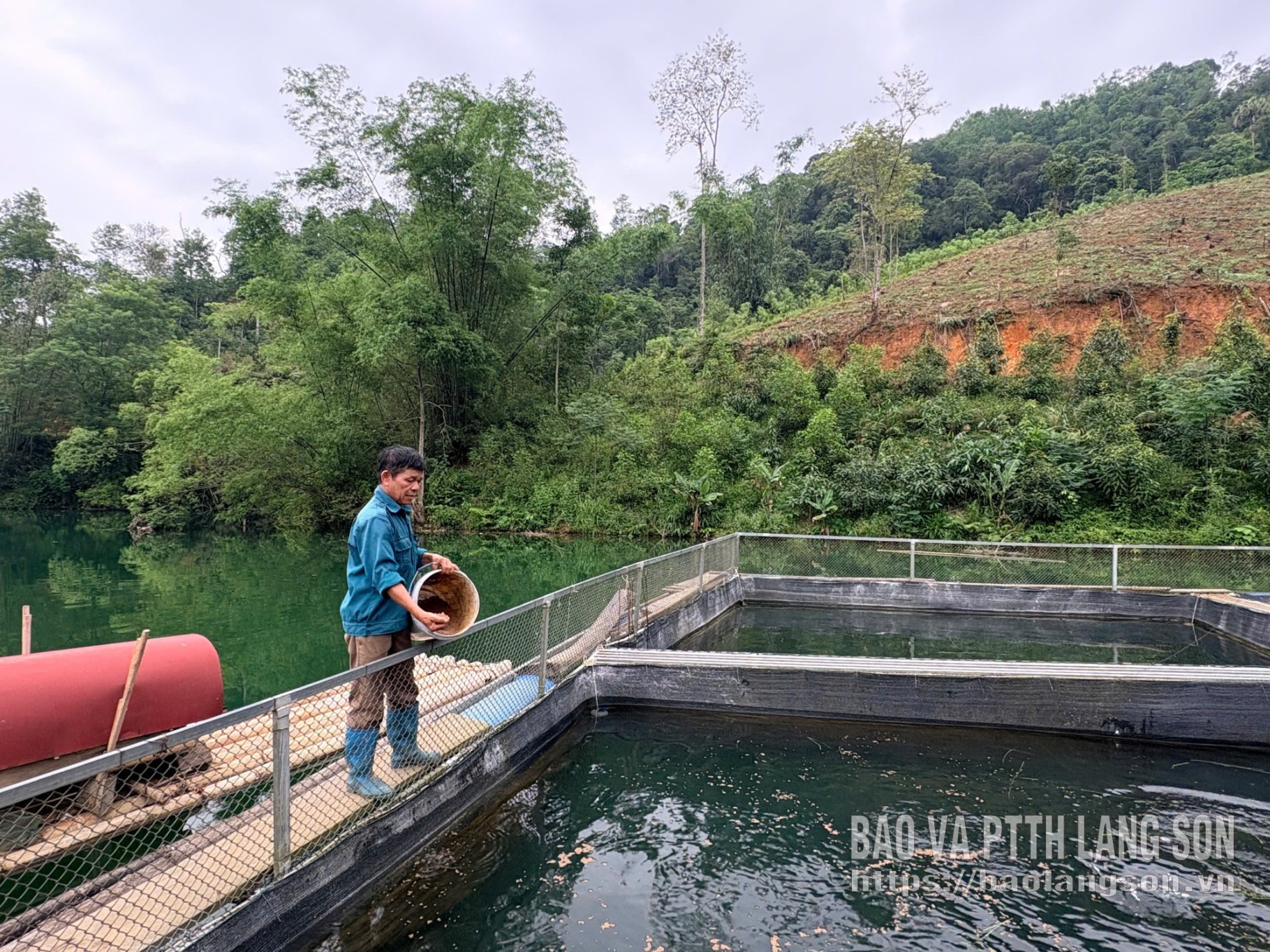 People in Van Lang commune take care of fish in cages.