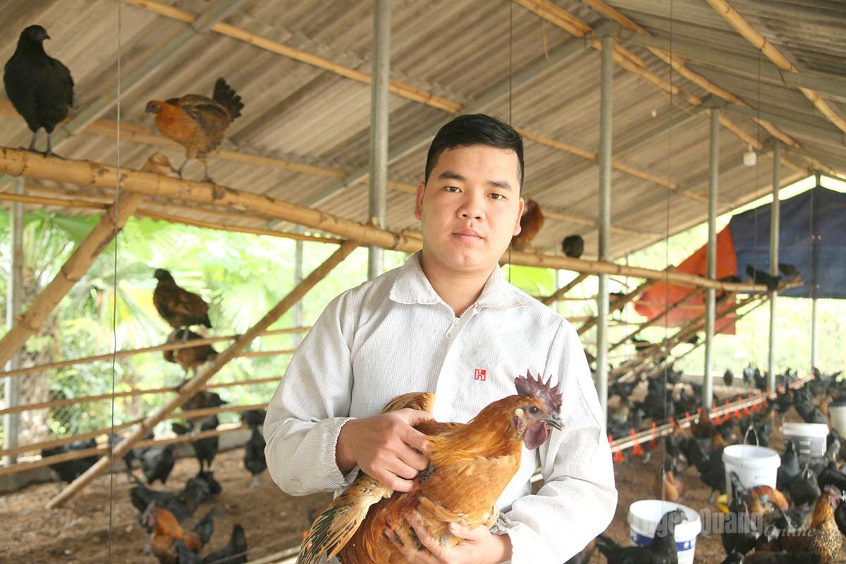 Anh Lương Văn Nam được mệnh danh là “vua gà đen”.