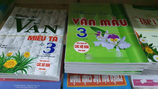 Khi văn mẫu trở thành chiếc 'phao cứu sinh' - Ảnh 2.