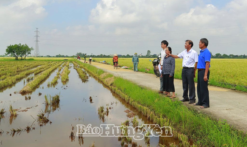 Cựu chiến binh Trần Anh Phong, thôn Cổ Xá là hộ gia đình đầu tiên đồng thuận và bàn giao mặt bằng cho xã triển khai dự án Cụm công nghiệp Phong Châu.