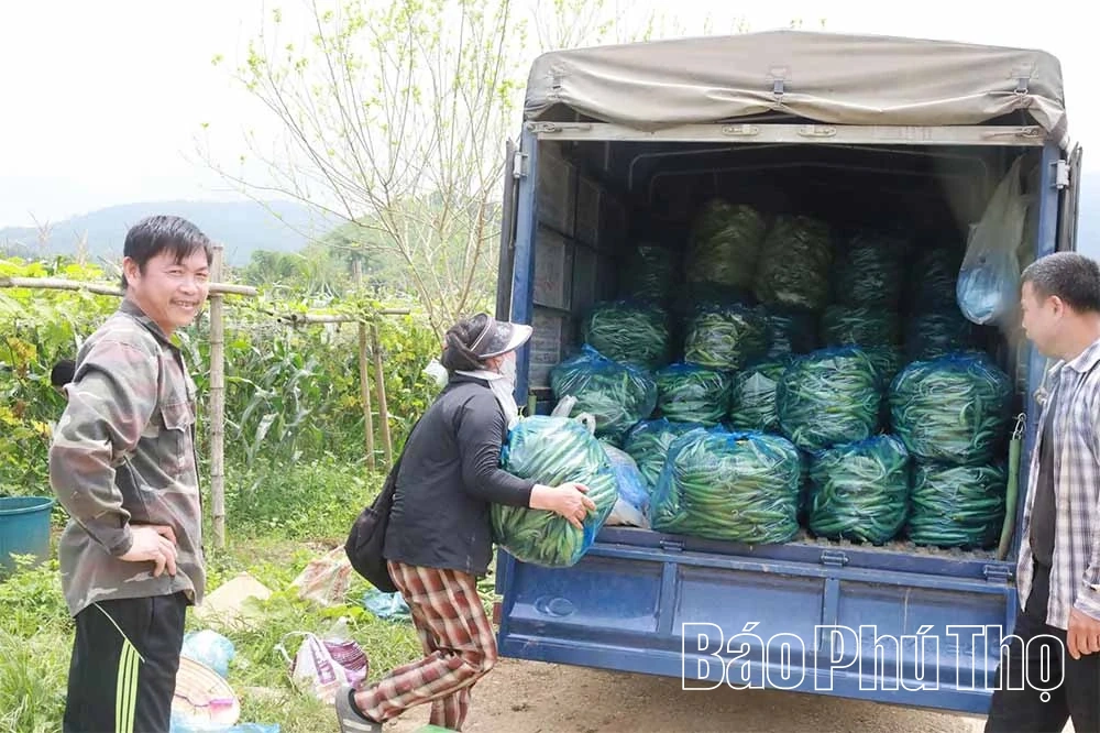 کشاورزان در کمون هوپ کیم: نگذارید زمین 