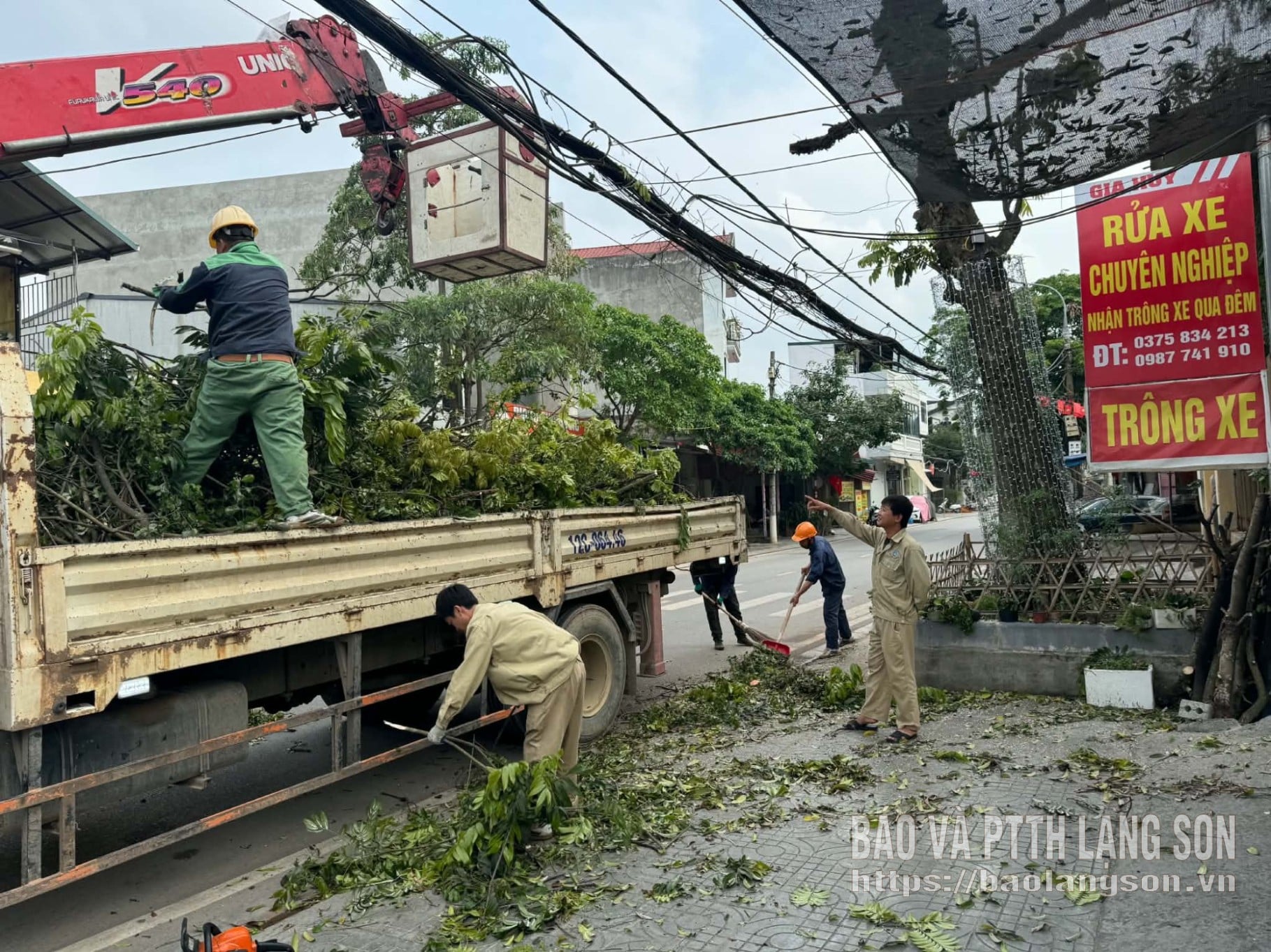Nhân viên Chi nhánh thoát nước đô thị cắt tỉa cây trên địa bàn phường Tam Thanh