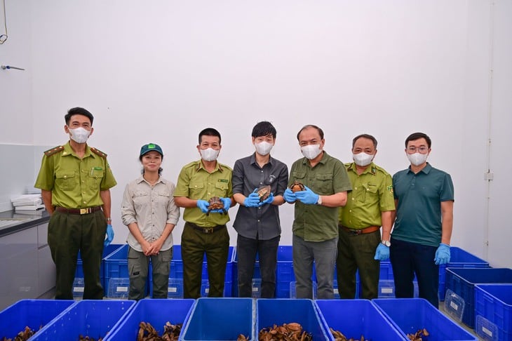 Phòng Quản lý cứu hộ động vật, Viện Sinh thái quốc gia Hàn Quốc bàn giao 28 con rùa quý hiếm cho Vườn quốc gia Cúc Phương - Ảnh: Q.HƯƠNG