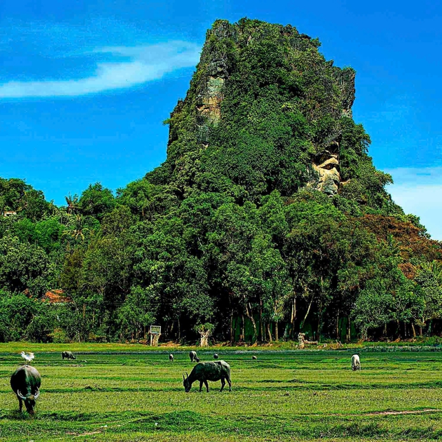 Du sơn ngoạn thủy: 'Miền An Hà là đẹp hơn cả' - Ảnh 2.