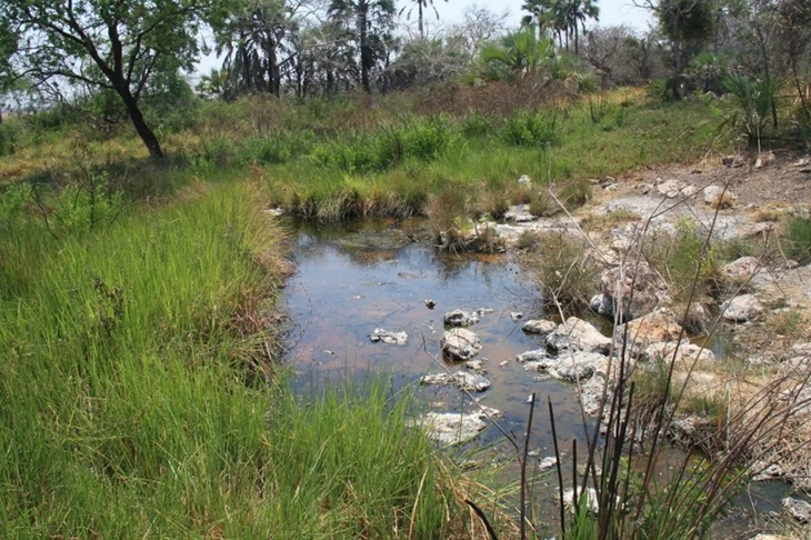 mảng kiến tạo - Ảnh 2.