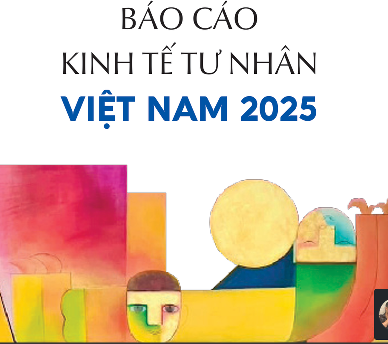 Lần đầu tiên công bố Chỉ số Hiệu quả Kinh tế tư nhân: TPHCM dẫn đầu - Ảnh 1.