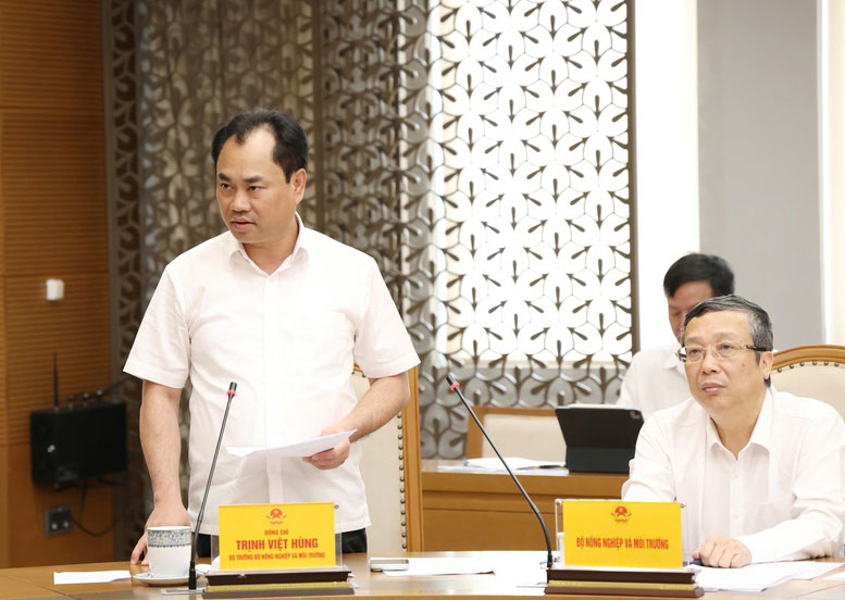Bộ trưởng Bộ Nông nghiệp và Môi trường Trịnh Việt Hùng phát biểu tại cuộc họp - Ảnh: VGP/Gia Huy