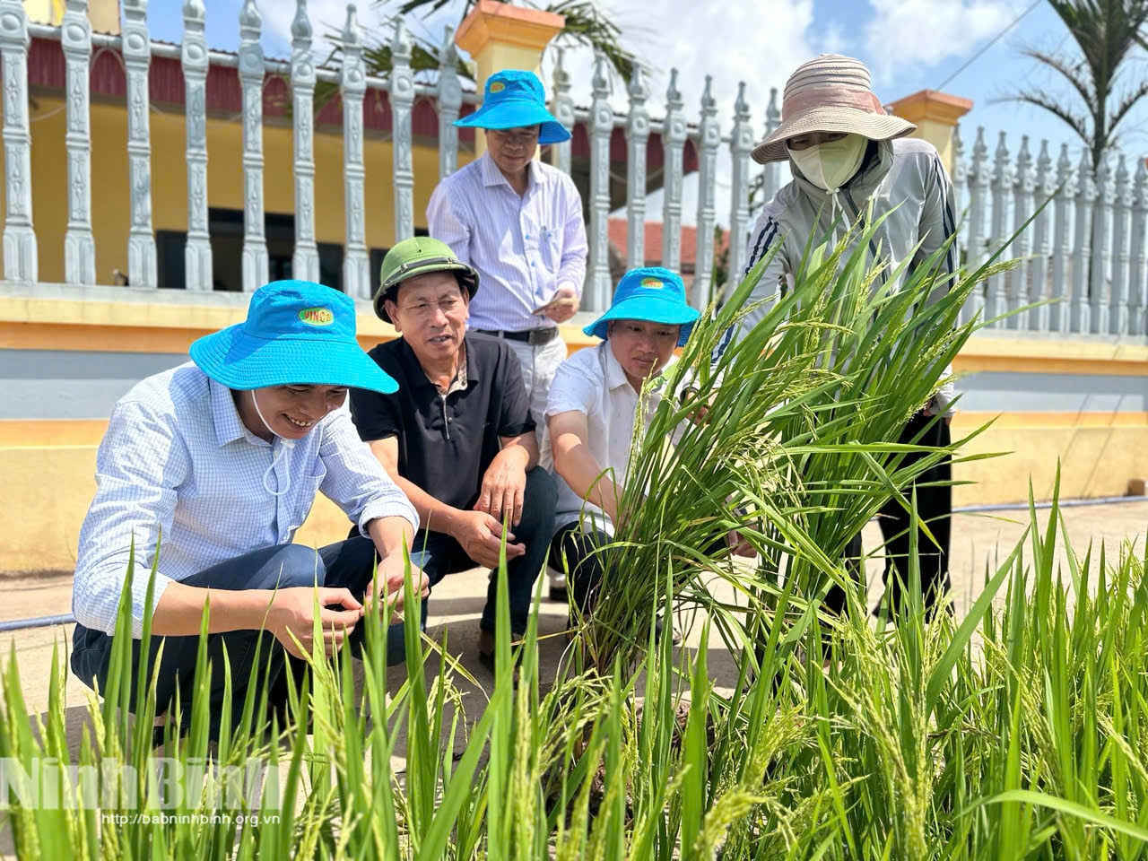 ผู้บริหารจากกรมการผลิตพืชและการคุ้มครองพืช พร้อมด้วยตัวแทนท้องถิ่น ได้ลงพื้นที่ตรวจสอบสถานการณ์ศัตรูพืชและโรคระบาดในนาข้าวฤดูใบไม้ผลิ ซึ่งขณะนี้อยู่ในระยะออกดอก ณ สหกรณ์อันฮวา ตำบลคิมซอน