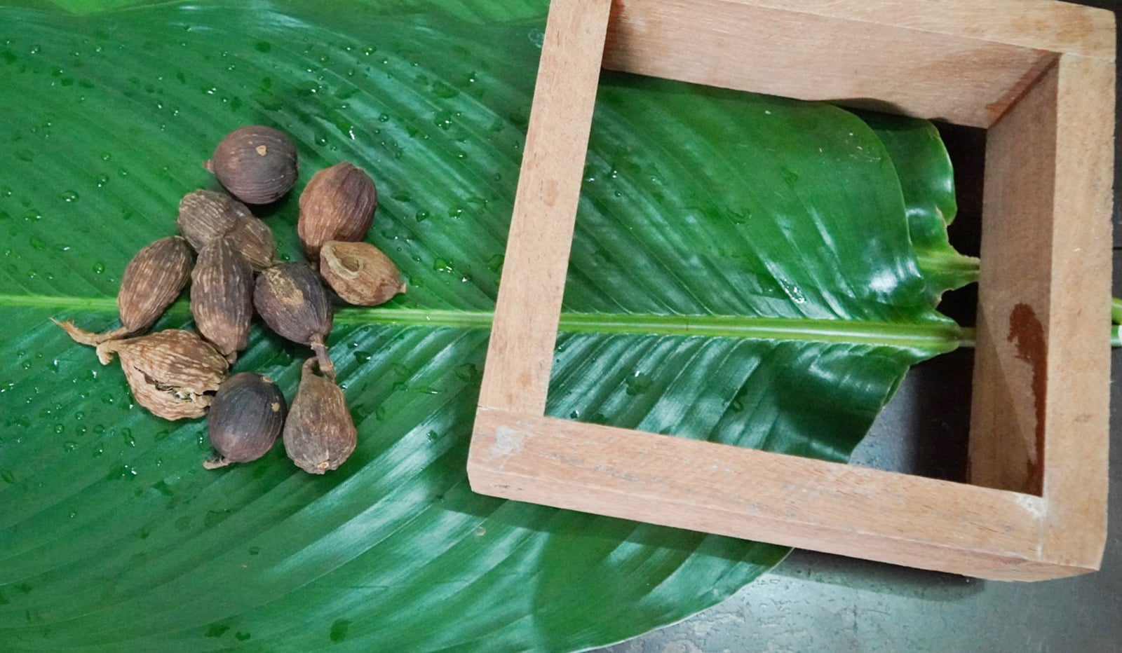 O aroma do cardamomo em bolinhos de arroz glutinoso