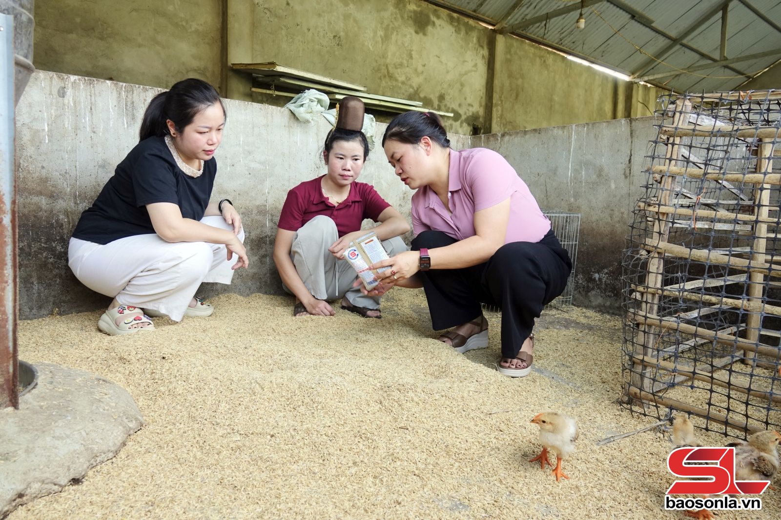生物由来の敷料を使用することで、畜産による環境汚染を軽減できます。